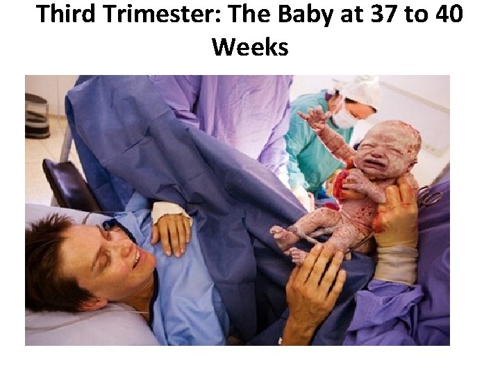 Third Trimester: The Baby at 37 to 40 Weeks Third Trimester: The Baby at 37 to 40 Weeks