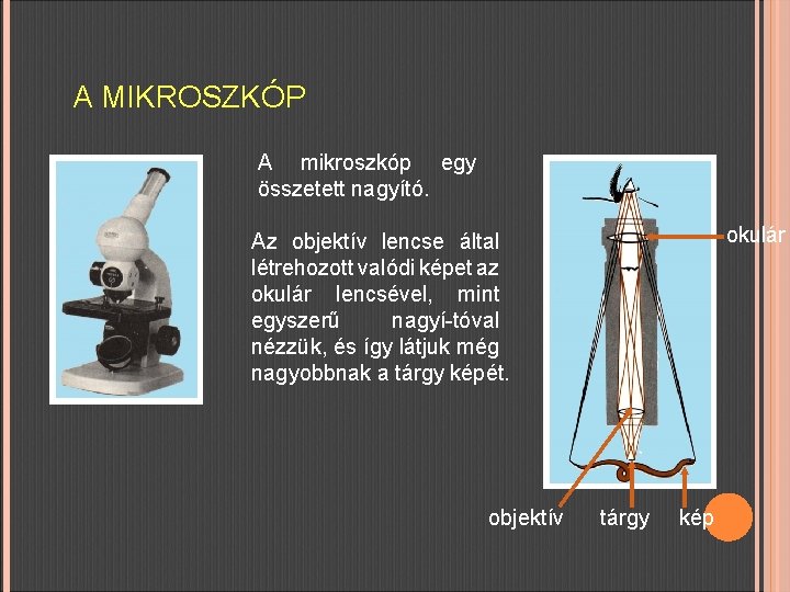 A MIKROSZKÓP A mikroszkóp egy összetett nagyító. okulár Az objektív lencse által létrehozott valódi