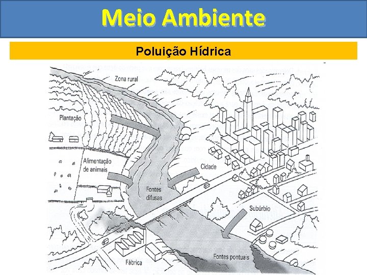 Meio Ambiente Poluição Hídrica 