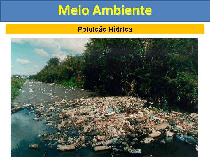 Meio Ambiente Poluição Hídrica 