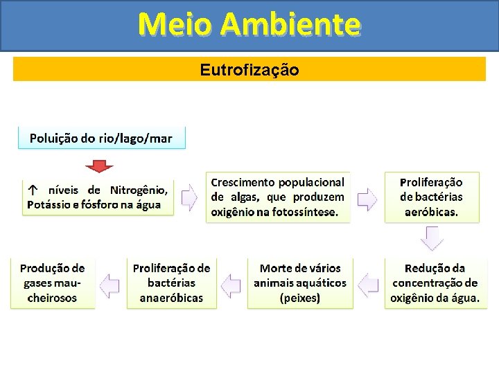 Meio Ambiente Eutrofização 