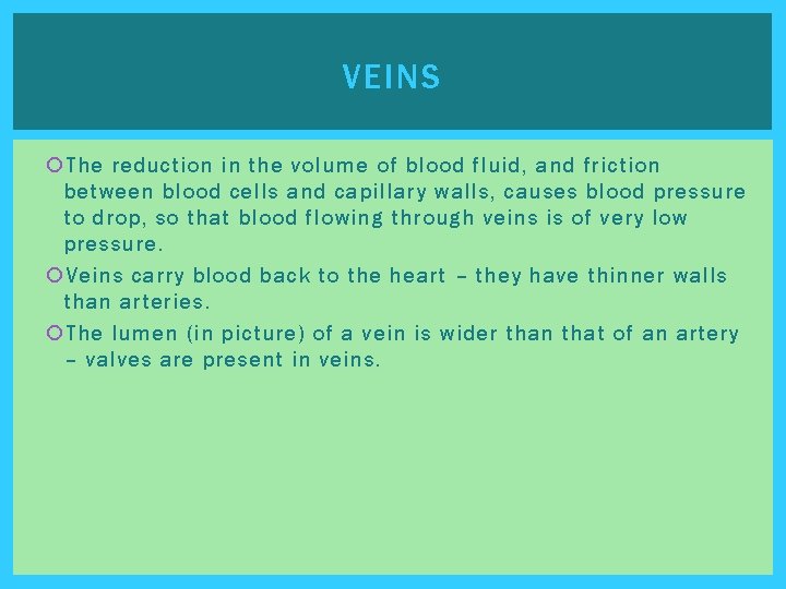 VEINS The reduction in the volume of blood fluid, and friction between blood cells VEINS The reduction in the volume of blood fluid, and friction between blood cells
