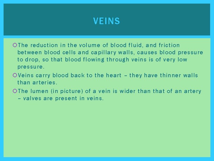 VEINS The reduction in the volume of blood fluid, and friction between blood cells