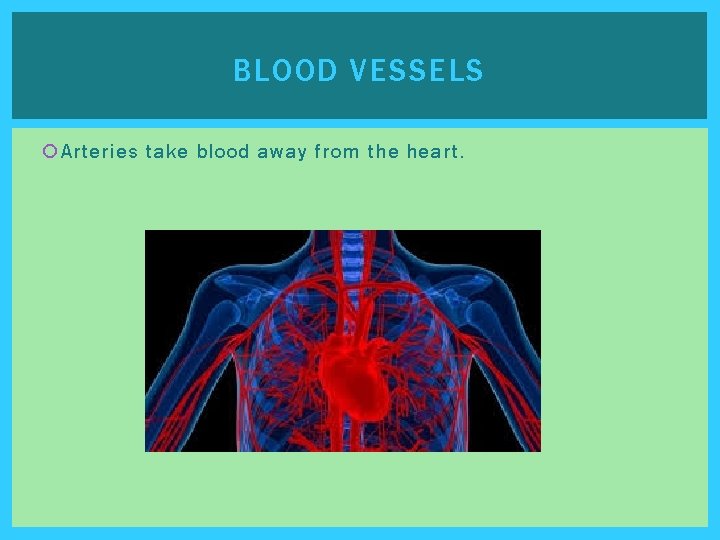 BLOOD VESSELS Arteries take blood away from the heart. BLOOD VESSELS Arteries take blood away from the heart.