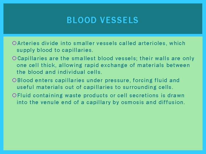 BLOOD VESSELS Arteries divide into smaller vessels called arterioles, which supply blood to capillaries.