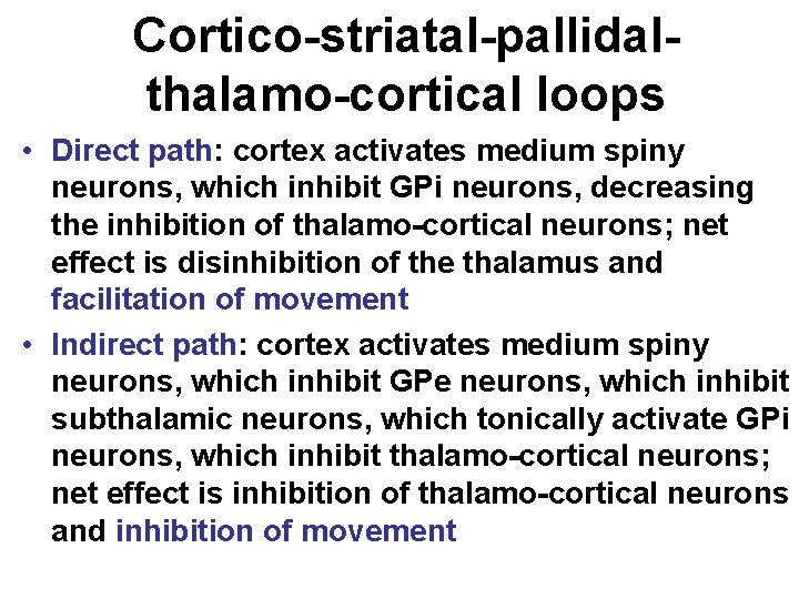 Cortico-striatal-pallidalthalamo-cortical loops • Direct path: cortex activates medium spiny neurons, which inhibit GPi neurons,