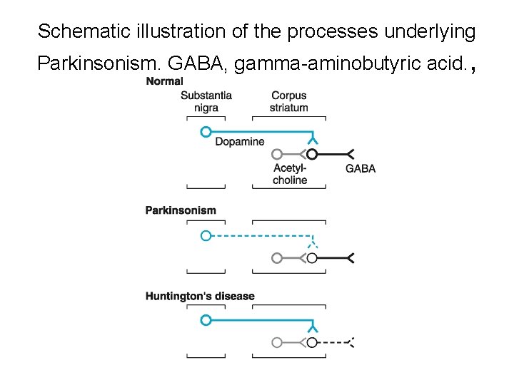 Schematic illustration of the processes underlying Parkinsonism. GABA, gamma-aminobutyric acid. , 