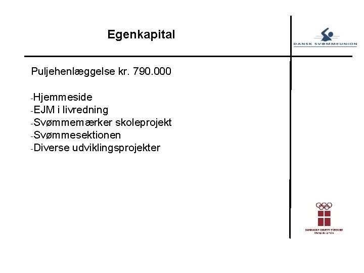 Egenkapital Puljehenlæggelse kr. 790. 000 -Hjemmeside -EJM i livredning -Svømmemærker skoleprojekt -Svømmesektionen -Diverse udviklingsprojekter