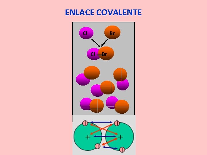 ENLACE COVALENTE Cl Br 