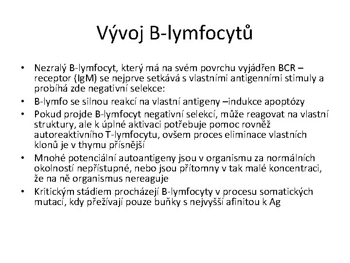 Vývoj B-lymfocytů • Nezralý B-lymfocyt, který má na svém povrchu vyjádřen BCR – receptor