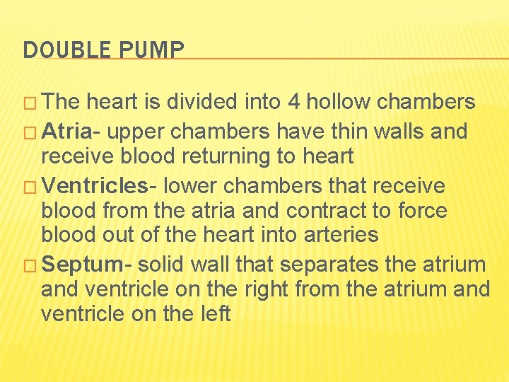DOUBLE PUMP � The heart is divided into 4 hollow chambers � Atria- upper