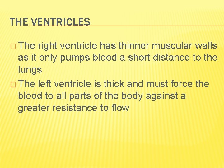 THE VENTRICLES � The right ventricle has thinner muscular walls as it only pumps