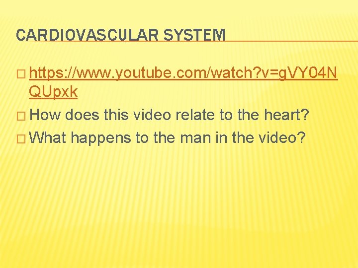 CARDIOVASCULAR SYSTEM � https: //www. youtube. com/watch? v=g. VY 04 N QUpxk � How