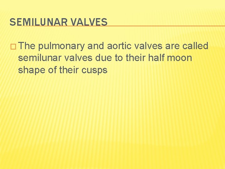 SEMILUNAR VALVES � The pulmonary and aortic valves are called semilunar valves due to