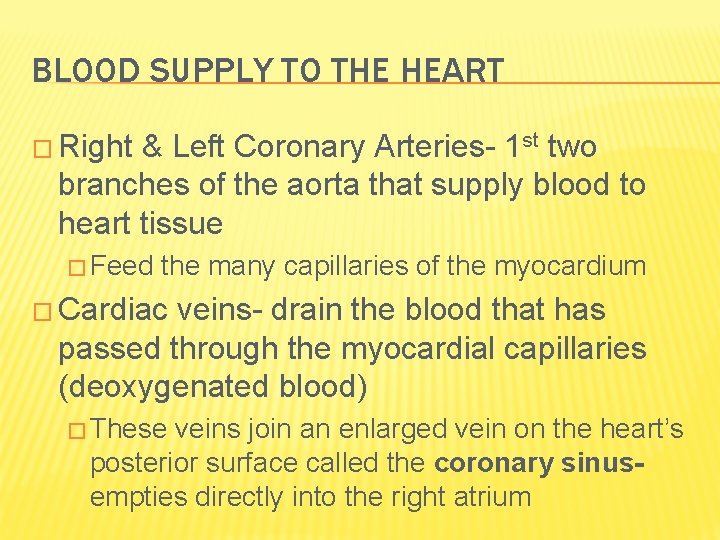 BLOOD SUPPLY TO THE HEART � Right & Left Coronary Arteries- 1 st two