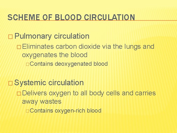 SCHEME OF BLOOD CIRCULATION � Pulmonary circulation � Eliminates carbon dioxide via the lungs