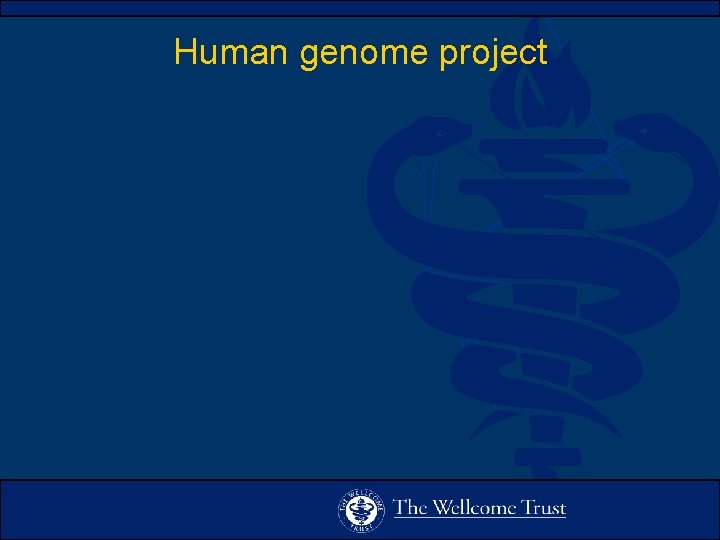 Human genome project 