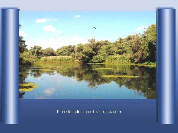 Floresta Letea, Letea a deltavidék kezdete 