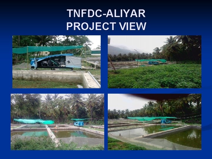 TNFDC-ALIYAR PROJECT VIEW 