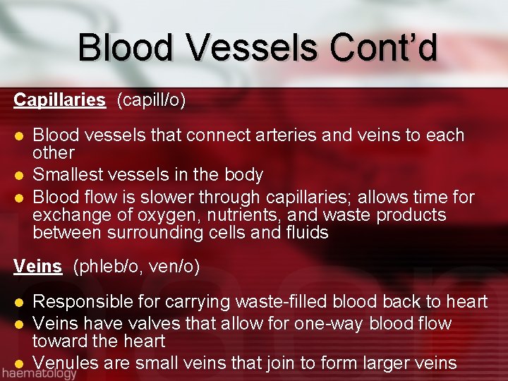 Blood Vessels Cont’d Capillaries (capill/o) l l l Blood vessels that connect arteries and