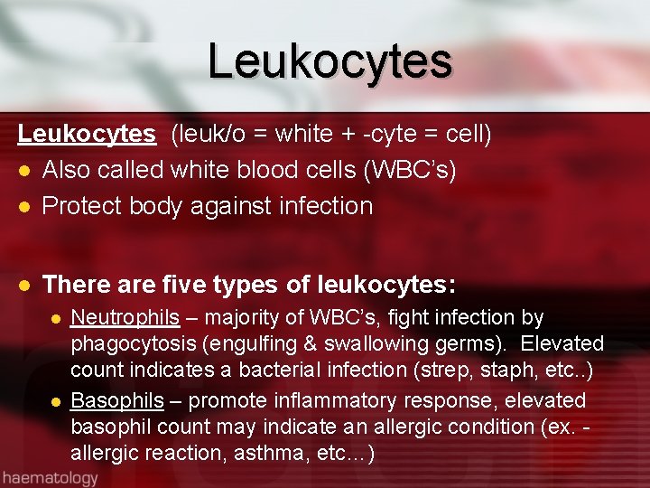 Leukocytes (leuk/o = white + -cyte = cell) l Also called white blood cells