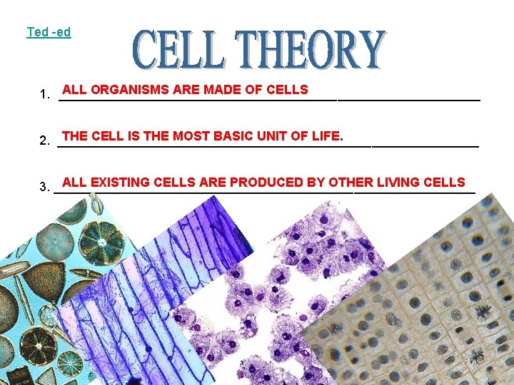 Ted -ed ALL ORGANISMS ARE MADE OF CELLS 1. ______________________________ THE CELL IS THE