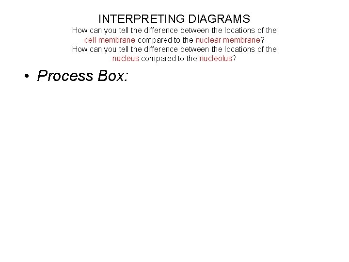 INTERPRETING DIAGRAMS How can you tell the difference between the locations of the cell