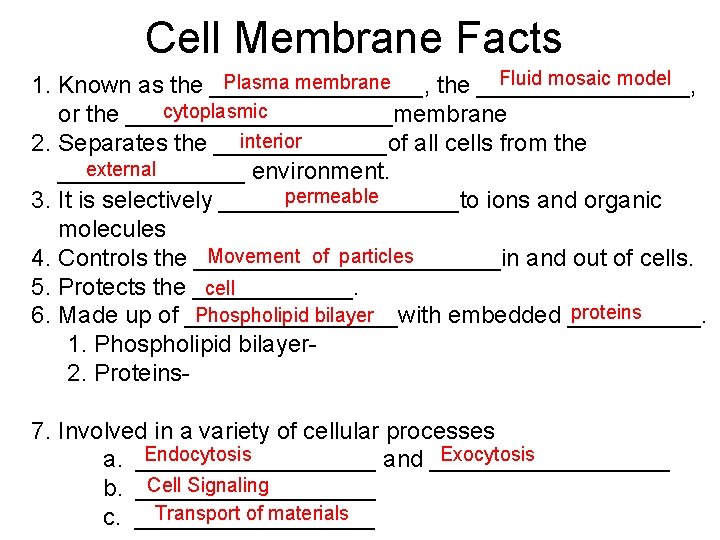 Cell Membrane Facts Fluid mosaic model Plasma membrane 1. Known as the ________________, cytoplasmic