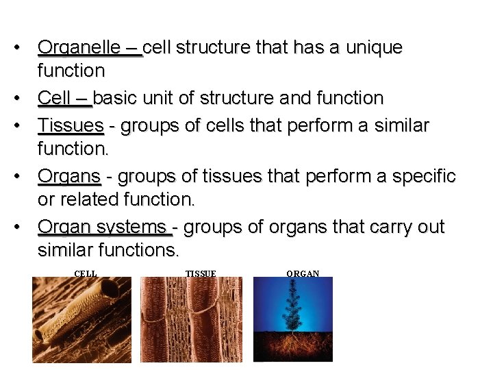  • Organelle – cell structure that has a unique function • Cell –