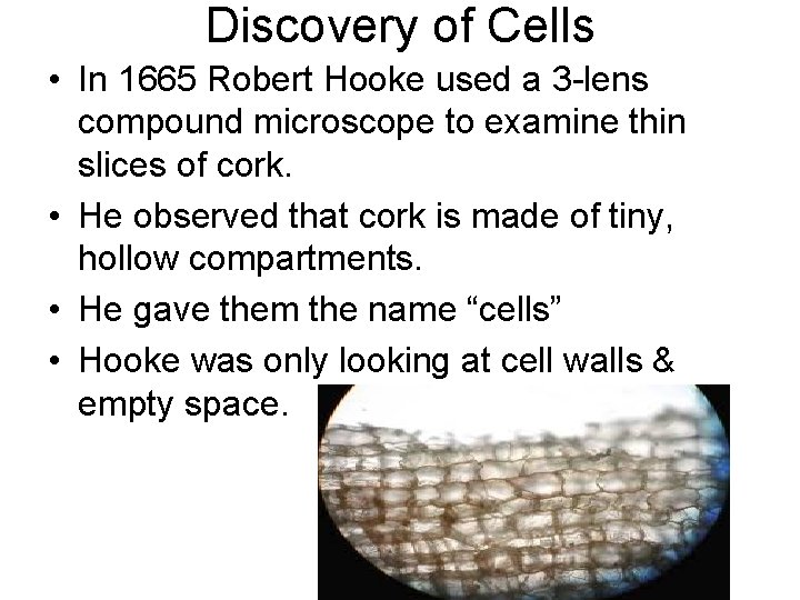 Discovery of Cells • In 1665 Robert Hooke used a 3 -lens compound microscope