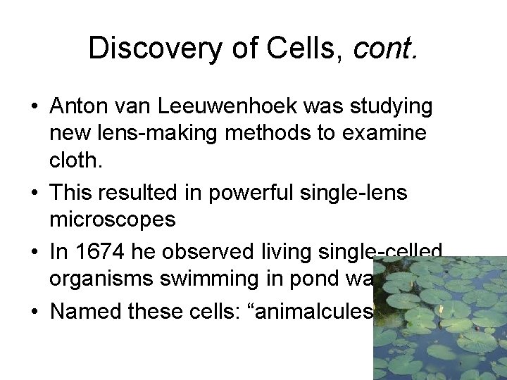 Discovery of Cells, cont. • Anton van Leeuwenhoek was studying new lens-making methods to