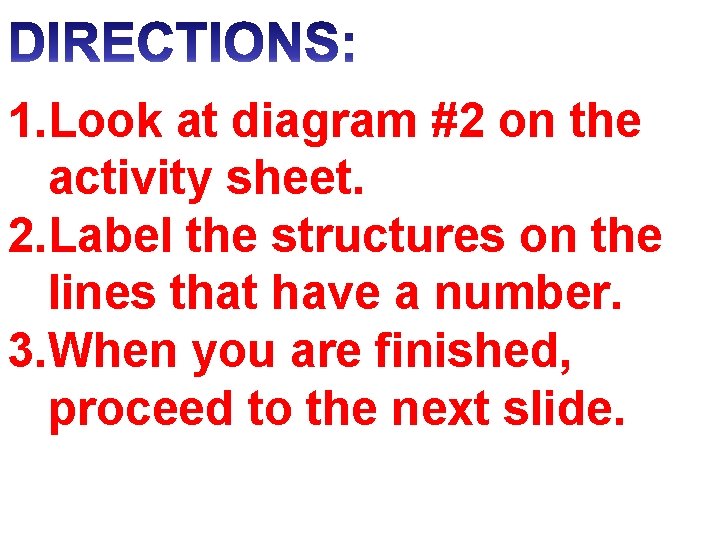 1. Look at diagram #2 on the activity sheet. 2. Label the structures on