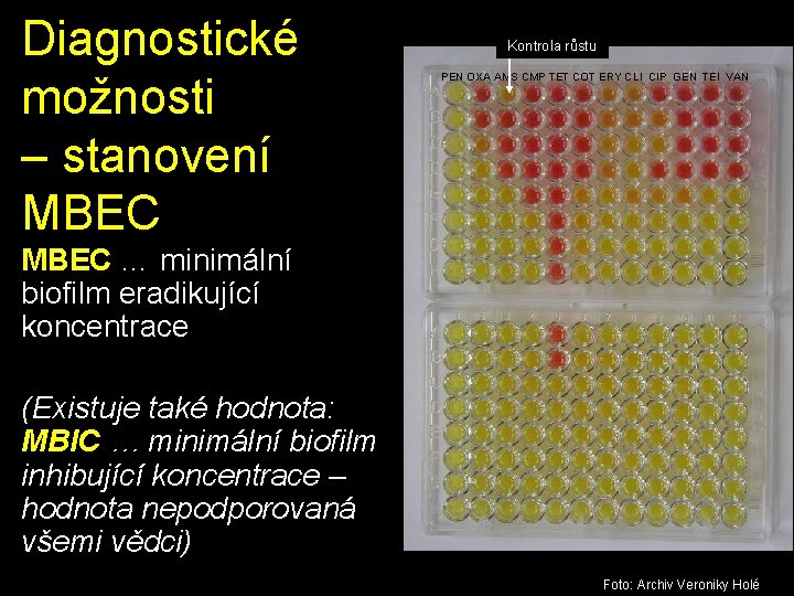 Diagnostické možnosti – stanovení MBEC Kontrola růstu PEN OXA AMS CMP TET COT ERY