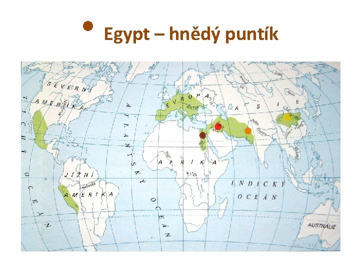  • Egypt – hnědý puntík 