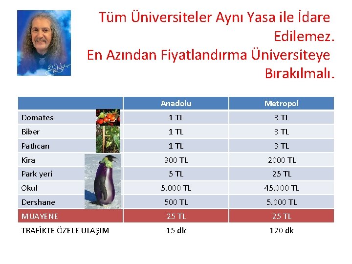 Tüm Üniversiteler Aynı Yasa ile İdare Edilemez. En Azından Fiyatlandırma Üniversiteye Bırakılmalı. Anadolu Metropol