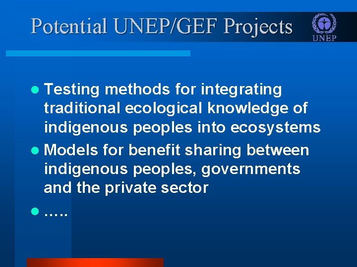 Potential UNEP/GEF Projects l Testing methods for integrating traditional ecological knowledge of indigenous peoples