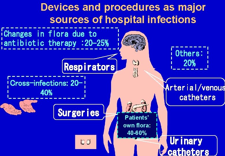 Devices and procedures as major sources of hospital infections Changes in flora due to