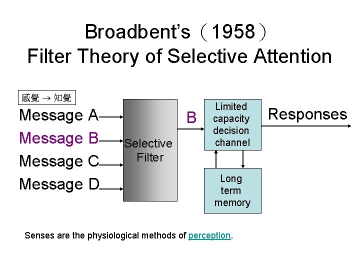 Broadbent’s（1958） Filter Theory of Selective Attention 感覺 知覺 Message A Message B Message C