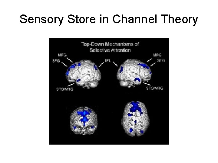 Sensory Store in Channel Theory 