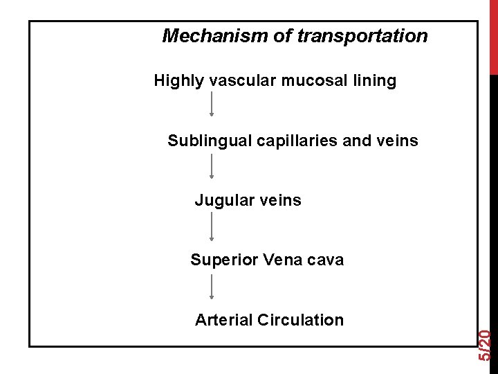 Mechanism of transportation Highly vascular mucosal lining Sublingual capillaries and veins Jugular veins Superior