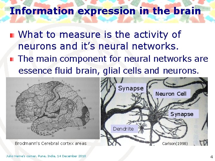 Information expression in the brain What to measure is the activity of neurons and