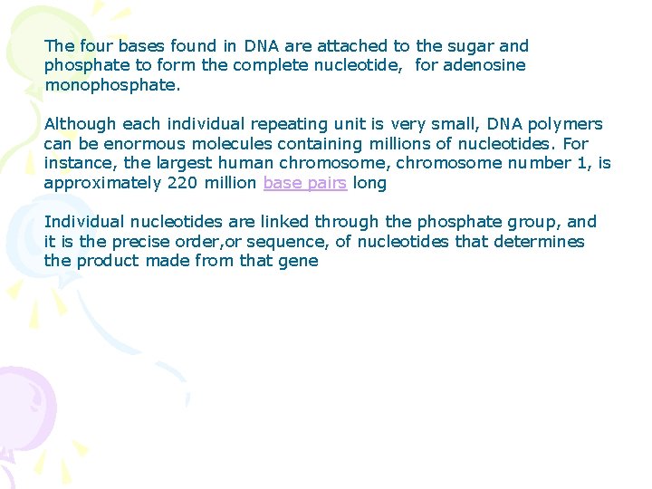 The four bases found in DNA are attached to the sugar and phosphate to