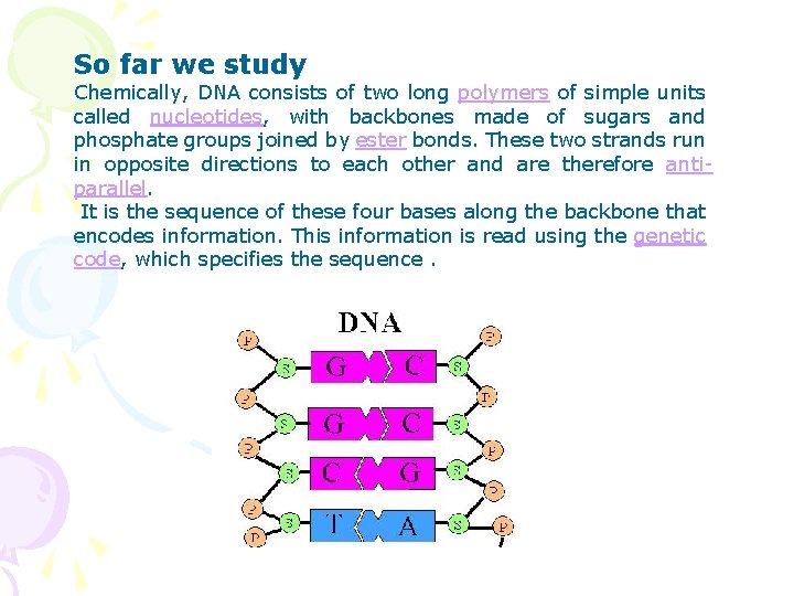 So far we study Chemically, DNA consists of two long polymers of simple units