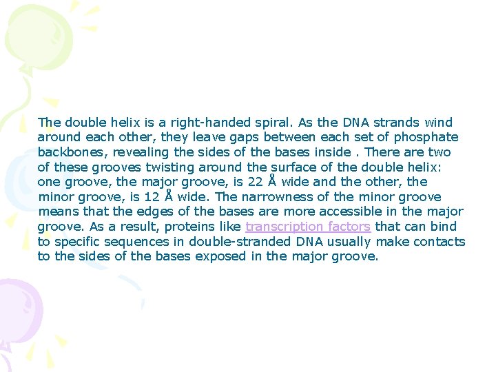 The double helix is a right-handed spiral. As the DNA strands wind around each