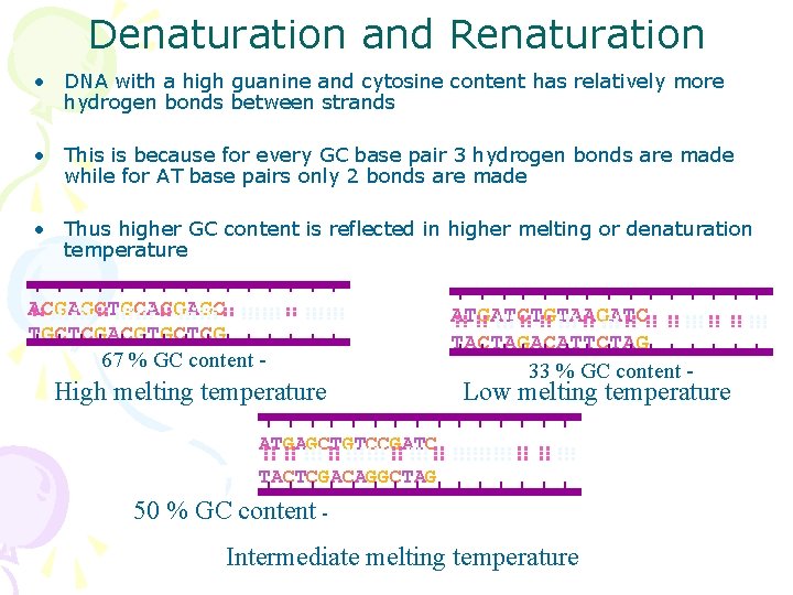Denaturation and Renaturation • DNA with a high guanine and cytosine content has relatively