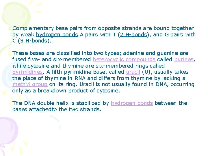Complementary base pairs from opposite strands are bound together by weak hydrogen bonds. A