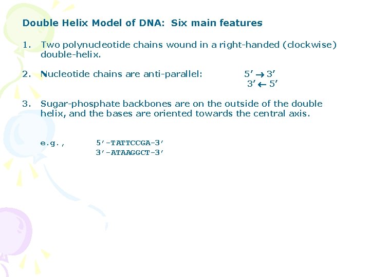 Double Helix Model of DNA: Six main features 1. Two polynucleotide chains wound in