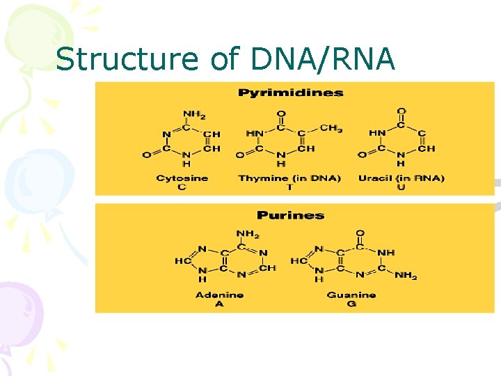 Structure of DNA/RNA 