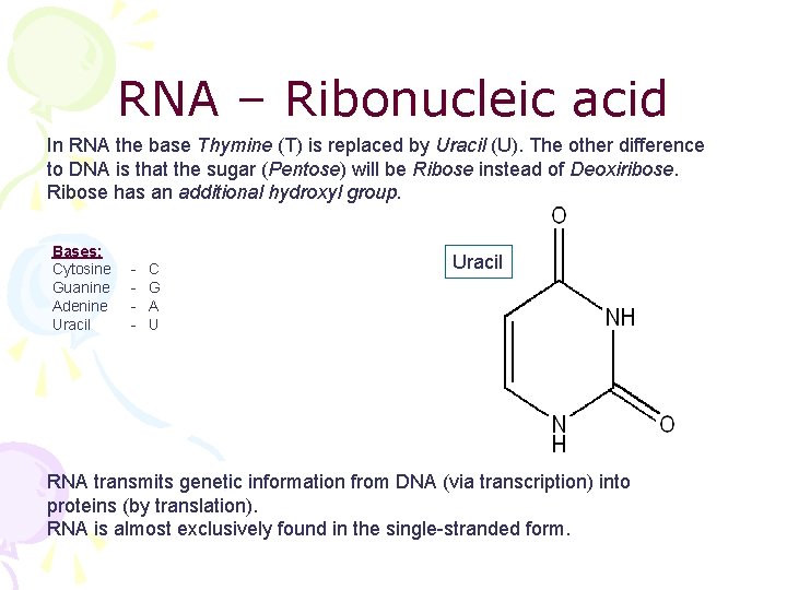 RNA – Ribonucleic acid In RNA the base Thymine (T) is replaced by Uracil