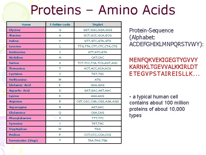Proteins – Amino Acids Name 1 -letter code Triplet Glycine G GGT, GGC, GGA,